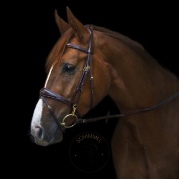 Utzon - Belmond kantár