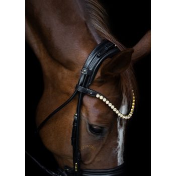 Utzon - Edinburgh single kantár