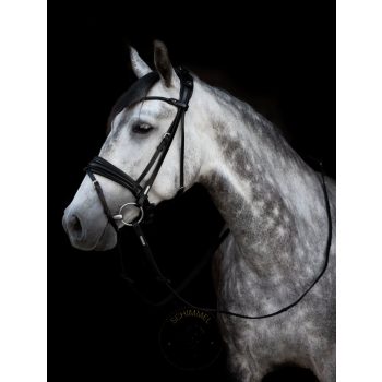 Utzon - London nagykantár