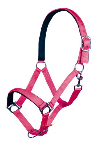 HKM - Stars softice - puhán bélelt kötőfék pink
